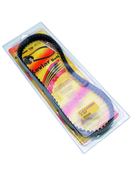 Courroie de transmission X-Kevlar renforcée MALOSSI Piaggio 50 Typhoon/NRG/Gilera 50 Stalker/Ice/Runner/Aprilia 50 SR/Peugeot..