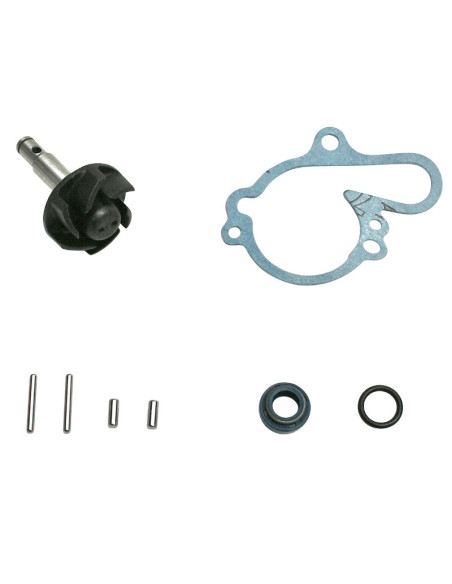 Kit réparation pompe à eau TOP PERFORMANCES Aprilia/Beta/Fantic/HM/HRD/Malaguti/MBK/Minarelli/Motor Hispania/Peugeot/Rieju/Sh..