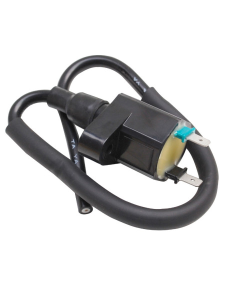 Bobine d'allumage Peugeot 50 TKR / Trekker / Speedfight / Ludix / Buxy / Elyseo / Looxor / Vivacity / 103 / Sym 50 Orbit 2T /..