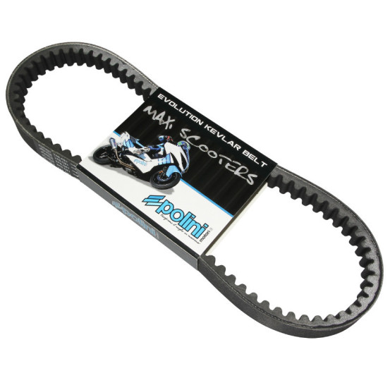 Courroie de transmission renforcée Kevlar POLINI Aprilia/Benelli/Beta/Derbi/Gilera/Italjet/Malaguti/Piaggio/Rieju/Vespa/Yamah..
