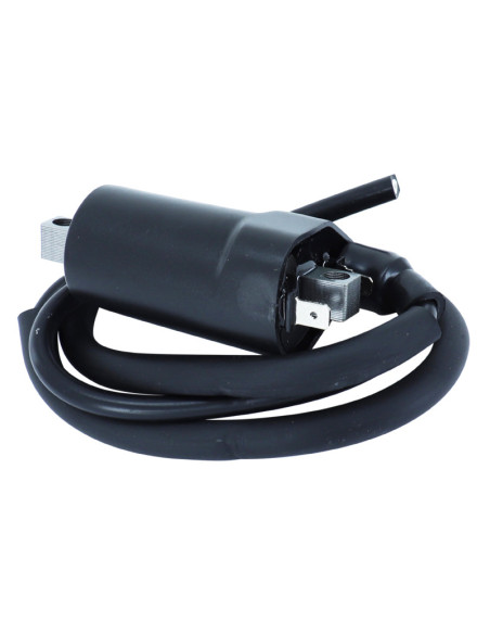 Bobine d'allumage SGR Ducati 650/750 Indiana 1986-1990 750 Sport 1988-1989 Hyosung 250 Aquila 2008 250 MS3 2010 Suzuki 650 SV..