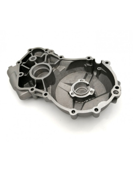 Carter moteur allumage adaptable - BMW S1000RR 2017-18