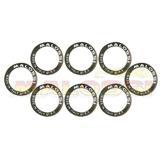 Jeu de 8 galets de variateur origine/Multivar MALOSSI 25x17mm