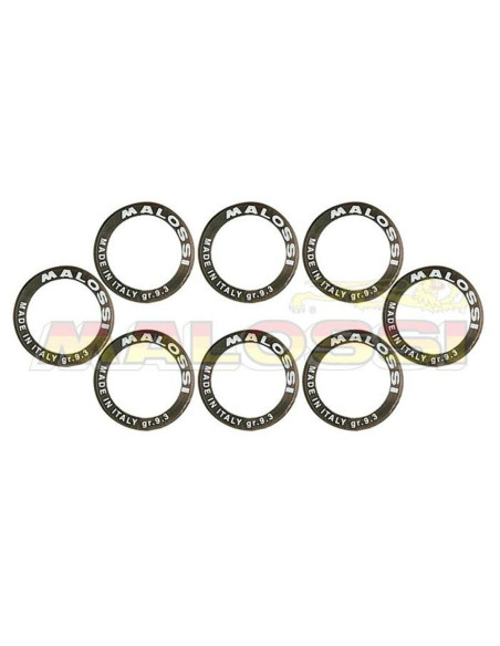 Jeu de 8 galets de variateur origine/Multivar MALOSSI 25x17mm
