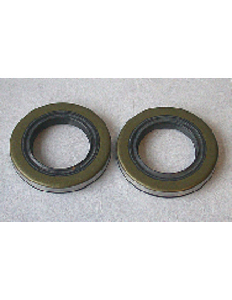 Jeu de joints spis de vilebrequin CENTAURO 500 KX 1983-2004