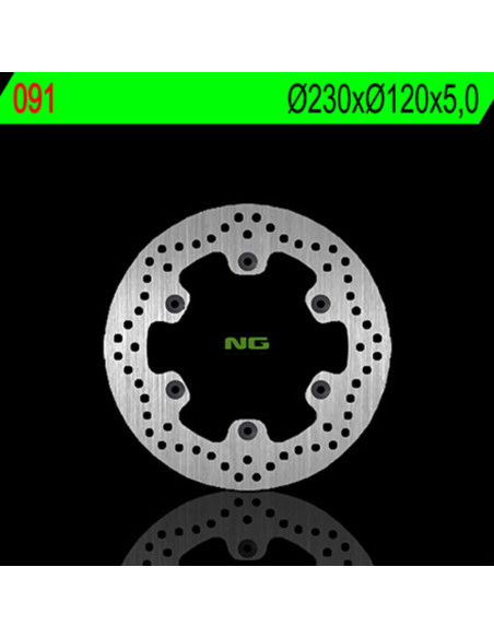 Disque de frein fixe arrière droit NG 230x120x5,0