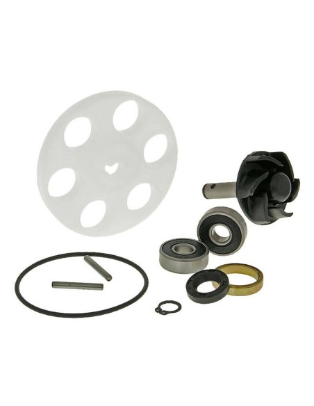 Kit réparation de pompe à eau 101 OCTANE Aprilia/Benelli/Beta/Italjet/Malaguti/MBK/Yamaha 50cc