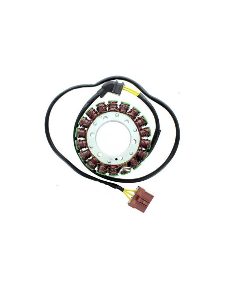 Stator ELECTROSPORT Aprilia 1000 RSV R 2004-2009 Tuono 2006-2010