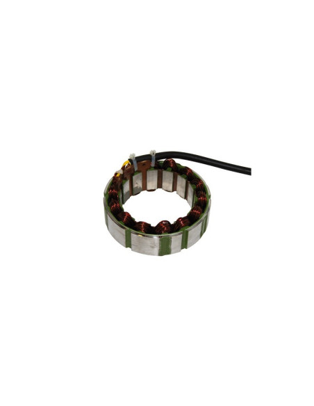 Stator ELECTROSPORT Ducati