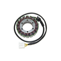 Stator ELECTROSPORT Honda 1000 RVT R 2000-2006