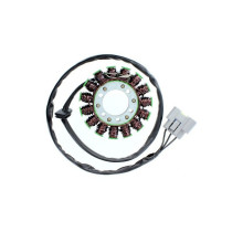 Stator ELECTROSPORT BMW S1000RR 2009-2016 S1000R 2013-2016 1000 HP4 2012-2015