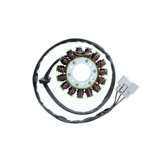 Stator ELECTROSPORT BMW S1000RR 2009-2016 S1000R 2013-2016 1000 HP4 2012-2015