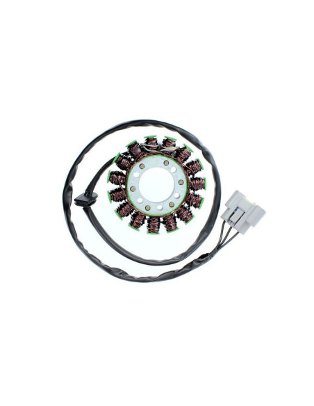 Stator ELECTROSPORT BMW S1000RR 2009-2016 S1000R 2013-2016 1000 HP4 2012-2015