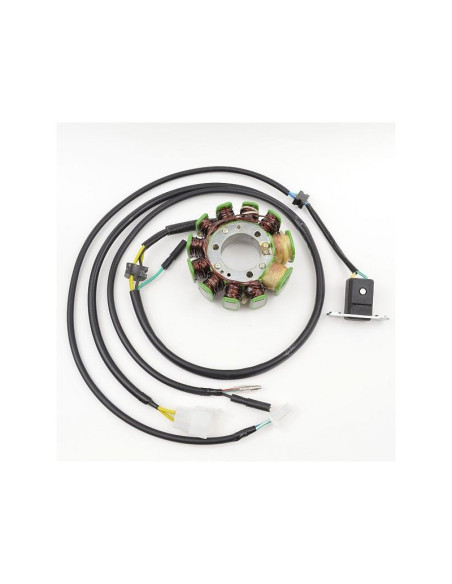 Stator ELECTROSPORT Honda 250 CMX Rebel 1996-2009