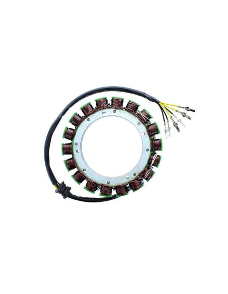 Stator ELECTROSPORT Kawasaki 2000 Vulcan 2005-2010