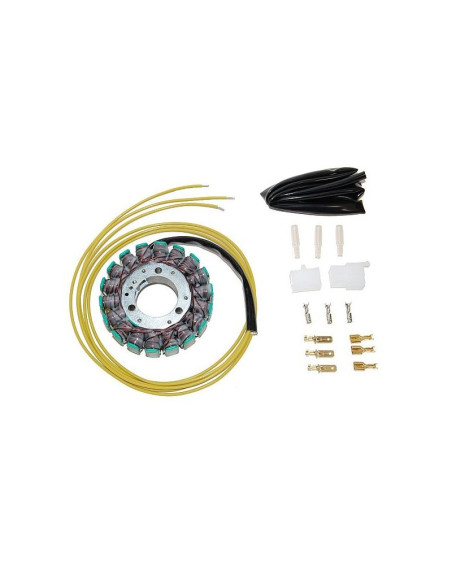 Stator ELECTROSPORT Kawasaki 750 Z/ZR 1000/1300 KZ/ZN Suzuki 650 GR