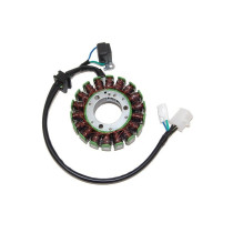 Stator ELECTROSPORT Suzuki 250 LT-F Ozark 2002-2007 250 LT-Z Quadsport 2004-2009