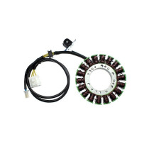 Stator ELECTROSPORT Suzuki 650 Burgman 2003-2013