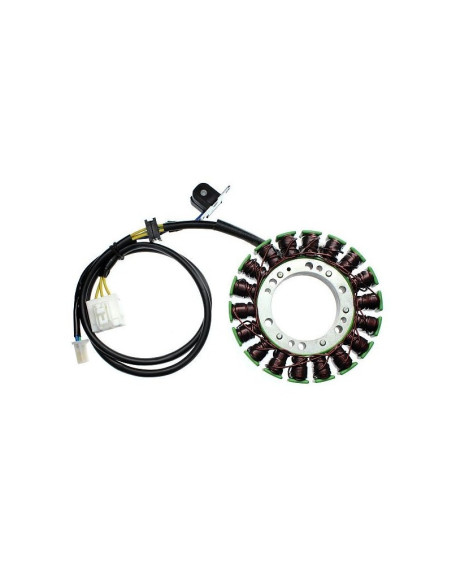 Stator ELECTROSPORT Suzuki 650 Burgman 2003-2013