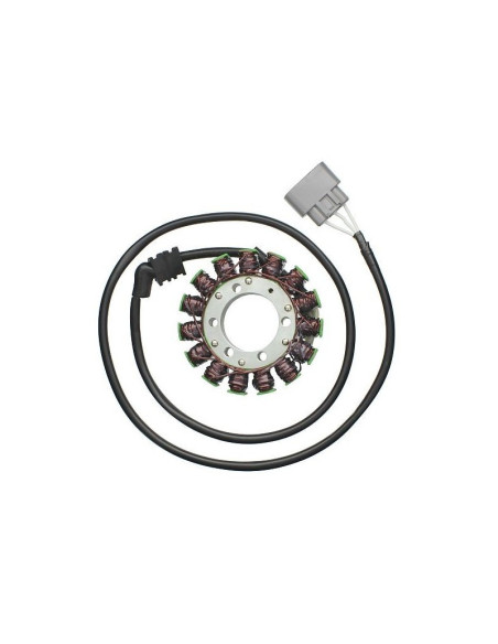 Stator ELECTROSPORT Yamaha 1000 YZF R-1 2009-2014