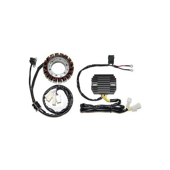 Stator ELECTROSPORT YAMAHA Moto Quad