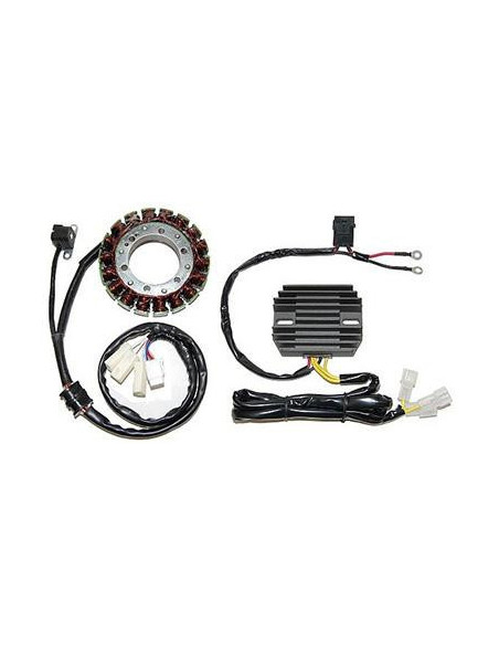 Stator ELECTROSPORT YAMAHA Moto Quad