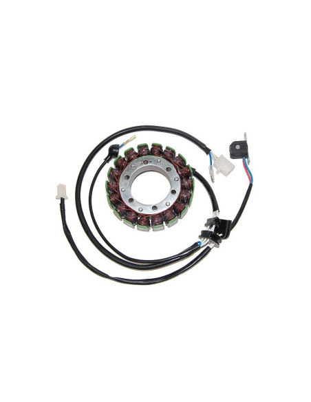 Stator ELECTROSPORT Yamaha 750 XV 1990-1997 1100 XV 1989-1999