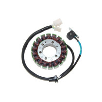 Stator ELECTROSPORT Yamaha 600 YZF 1995-2007