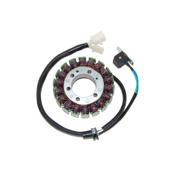 Stator ELECTROSPORT Yamaha 600 YZF 1995-2007