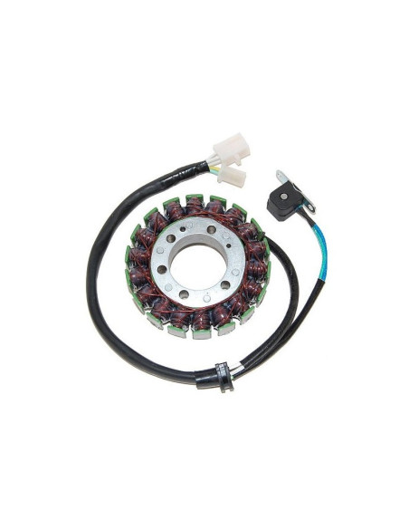 Stator ELECTROSPORT Yamaha 600 YZF 1995-2007