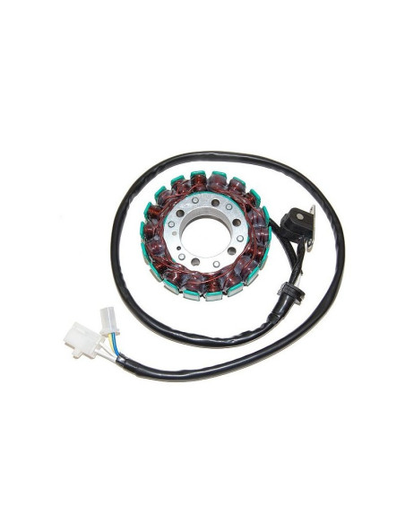 Stator ELECTROSPORT Yamaha 600 FZS Fazer 1998-2004