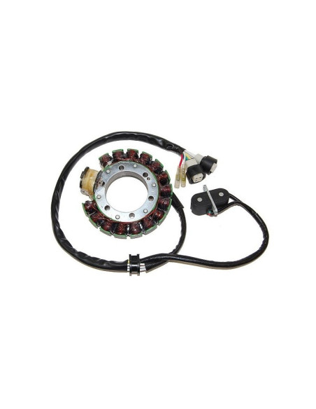 Stator ELECTROSPORT Yamaha 350 YFM Big Bear 1987/1989 350 YFM Warrior/Moto-4 1987-1989