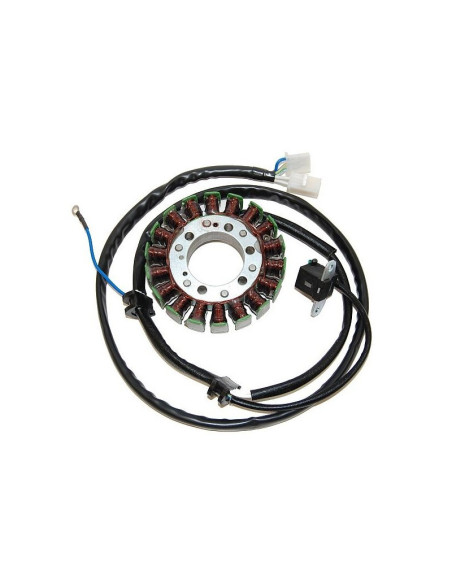 Stator ELECTROSPORT Yamaha 250 XV 1988-1992/1995-2007 250 V-Star 2008-2015