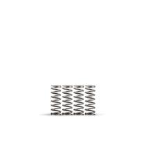 Kit 5 ressorts d'embrayage Haute température HINSON HONDA 450 CRF R 2021 - 2026