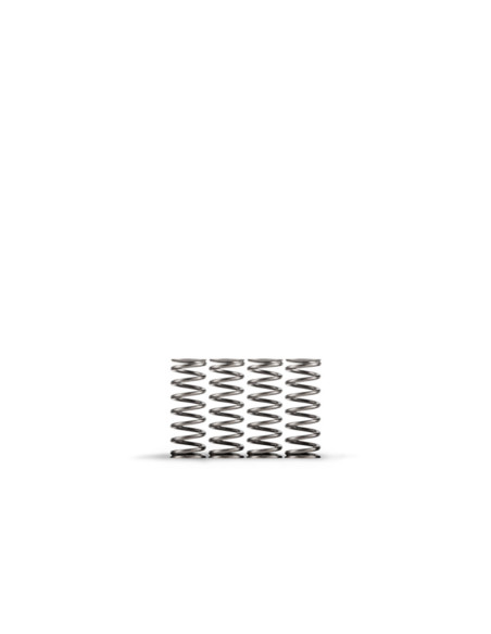 Kit 5 ressorts d'embrayage Haute température HINSON HONDA 450 CRF R 2021 - 2026