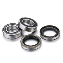 Kit roulements de roue arrière FACTORY LINKS - BETA