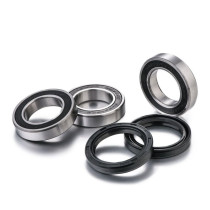 Kit roulements de roue arrière FACTORY LINKS - FANTIC