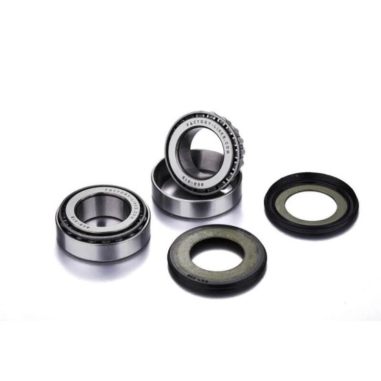 Kit roulements de colonne de direction FACTORY LINKS - SCORPA