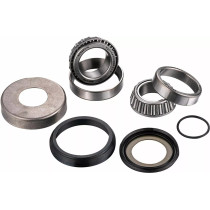 Kit roulements de colonne de direction FACTORY LINKS - FANTIC