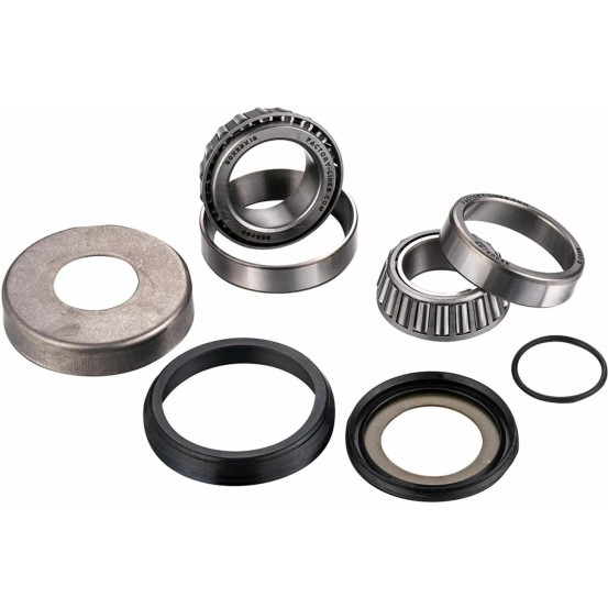 Kit roulements de colonne de direction FACTORY LINKS - FANTIC