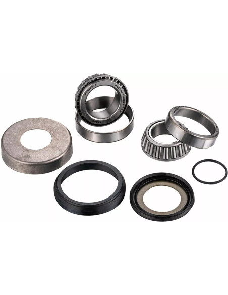 Kit roulements de colonne de direction FACTORY LINKS - FANTIC