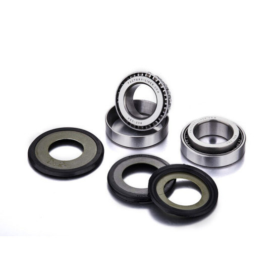 Kit roulements de colonne de direction FACTORY LINKS - FANTIC