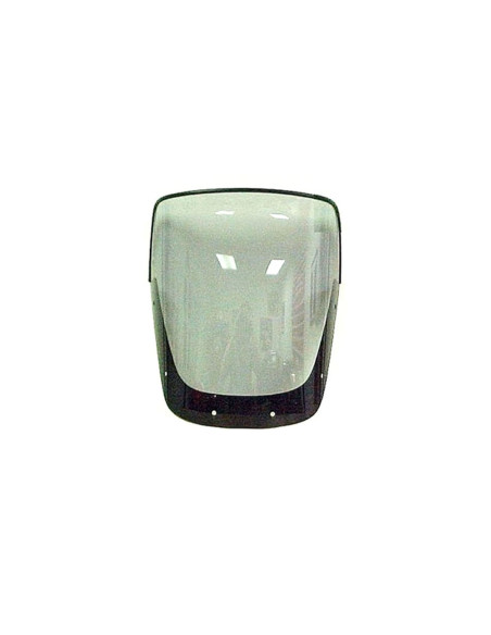 Bulle Givi D174S Kawasaki 1100-1200 ZRX 1997-2002 - Fumé