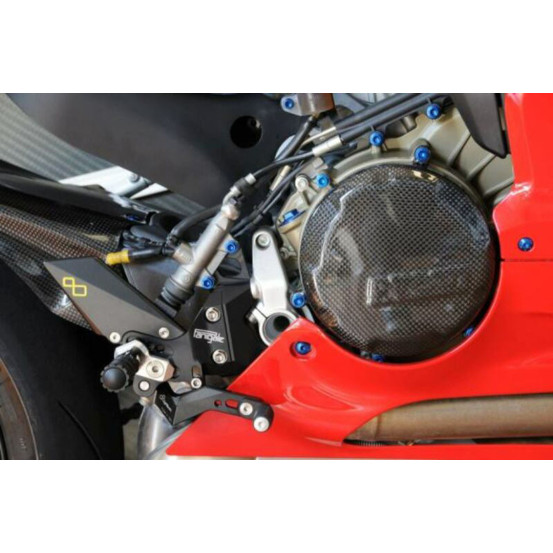 Protection Carter Alternateur LIGHTECH Ducati 899 Panigale 2013-2015 1199/1299 Panigale 2012-2016 Carbone Brillant