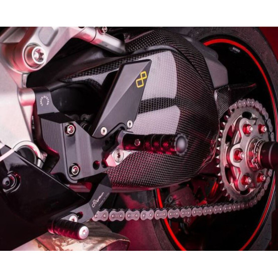 Protection Bras Oscillant LIGHTECH Ducati 1199/1299 Panigale 2012-2016 Carbone Brillant