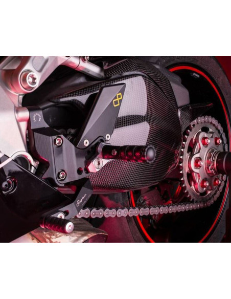 Protection Bras Oscillant LIGHTECH Ducati 1199/1299 Panigale 2012-2016 Carbone Brillant