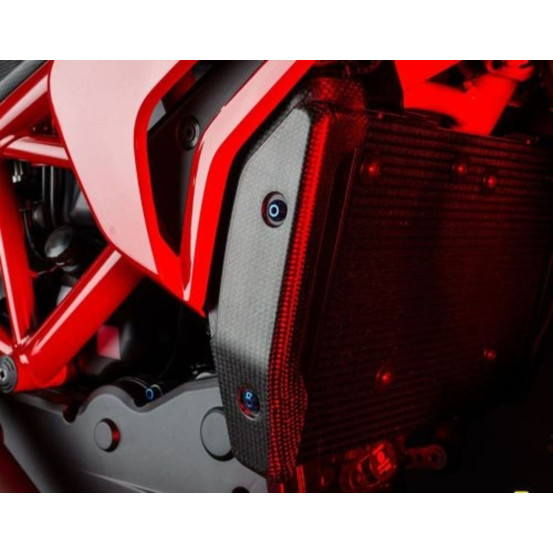 Protections Radiateurs LIGHTECH Ducati 821 Hypermotard/Hyperstrada 2013-2016 Carbone Mat