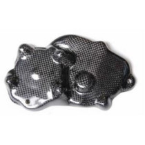 Protection Carter Allumage LIGHTECH Kawasaki 600/636 ZX-6R 2009-2016 Carbone Brillant