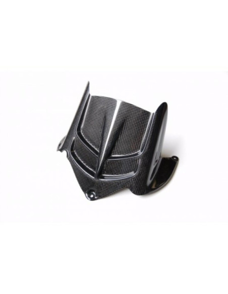Garde Boue Arrière LIGHTECH Kawasaki 600/636 ZX-6R 2009-2016 Carbone Brillant