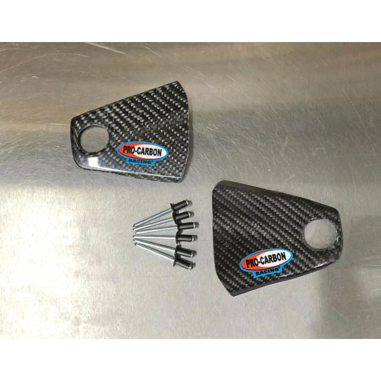 Protections carbone de plaques latérales PROCARBON Kawasaki 250 KXF 2017-2020 450 KXF 2017-2018